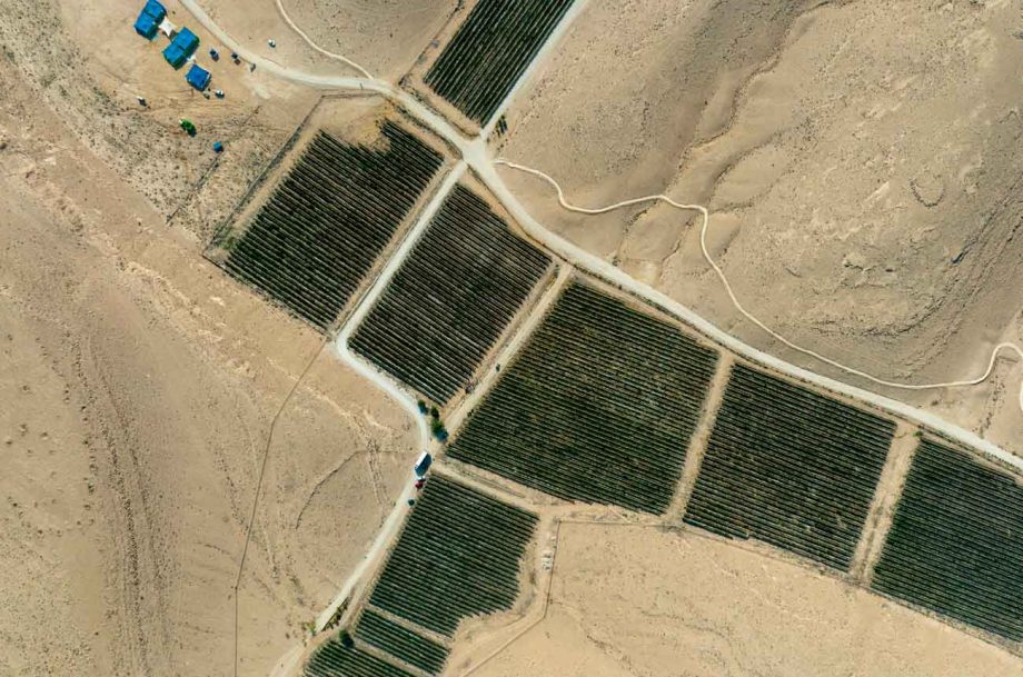 Aerial view of the Nana Estate Winery vineyards near Mitzpe Ramon in the Negev Desert.
