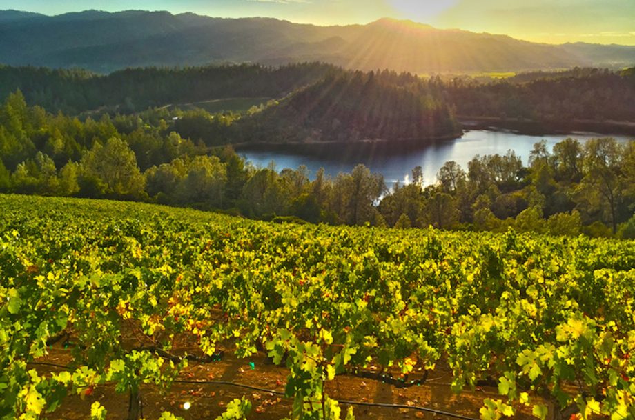 Vines in proposed Crystal Springs of Napa Valley AVA